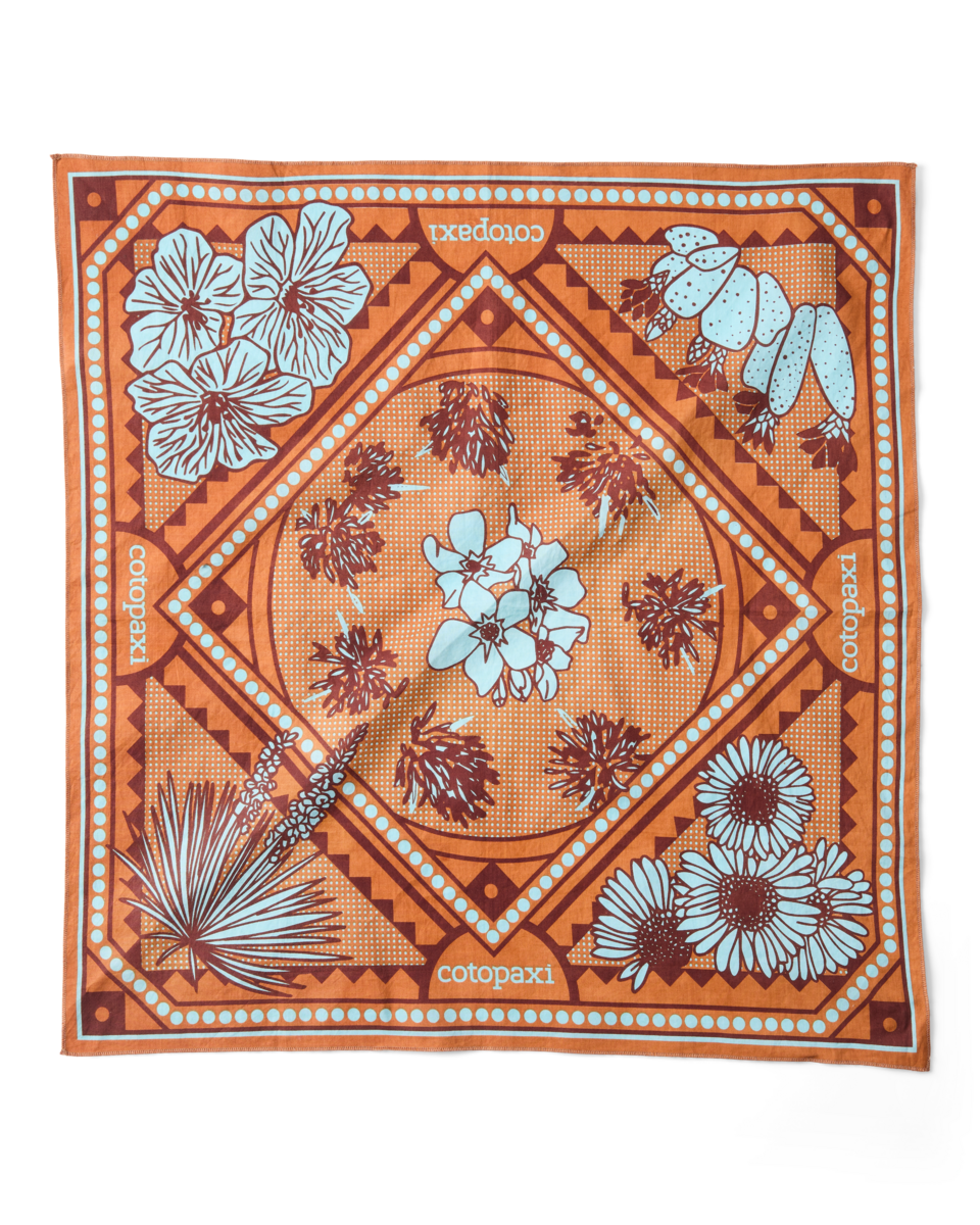 Organic Cotton Bandana - Desert llama - US 5405