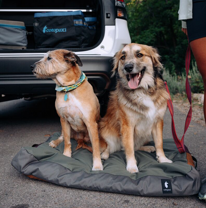 Del Día Dog Bed - US 4341