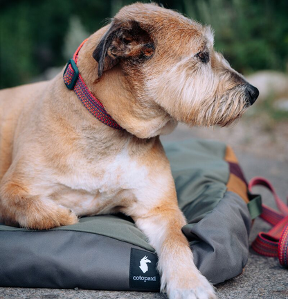 Del Día Dog Bed - US 4341