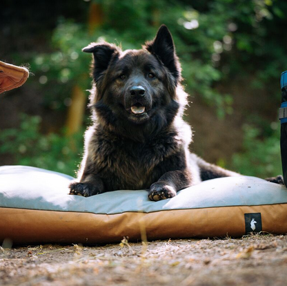 Del Día Dog Bed - US 4341