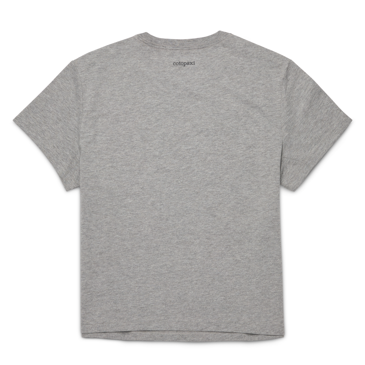 Llama Icon T-Shirt - Women's - Heather Grey - US 2951