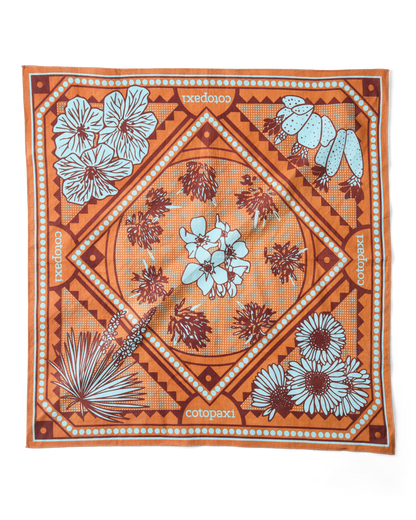 Organic Cotton Bandana - Desert llama - US 5405