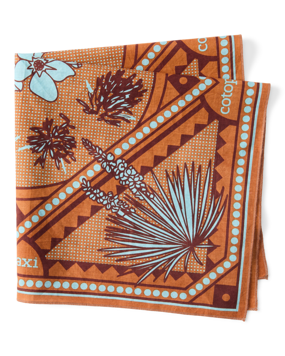 Organic Cotton Bandana - Desert llama - US 5405
