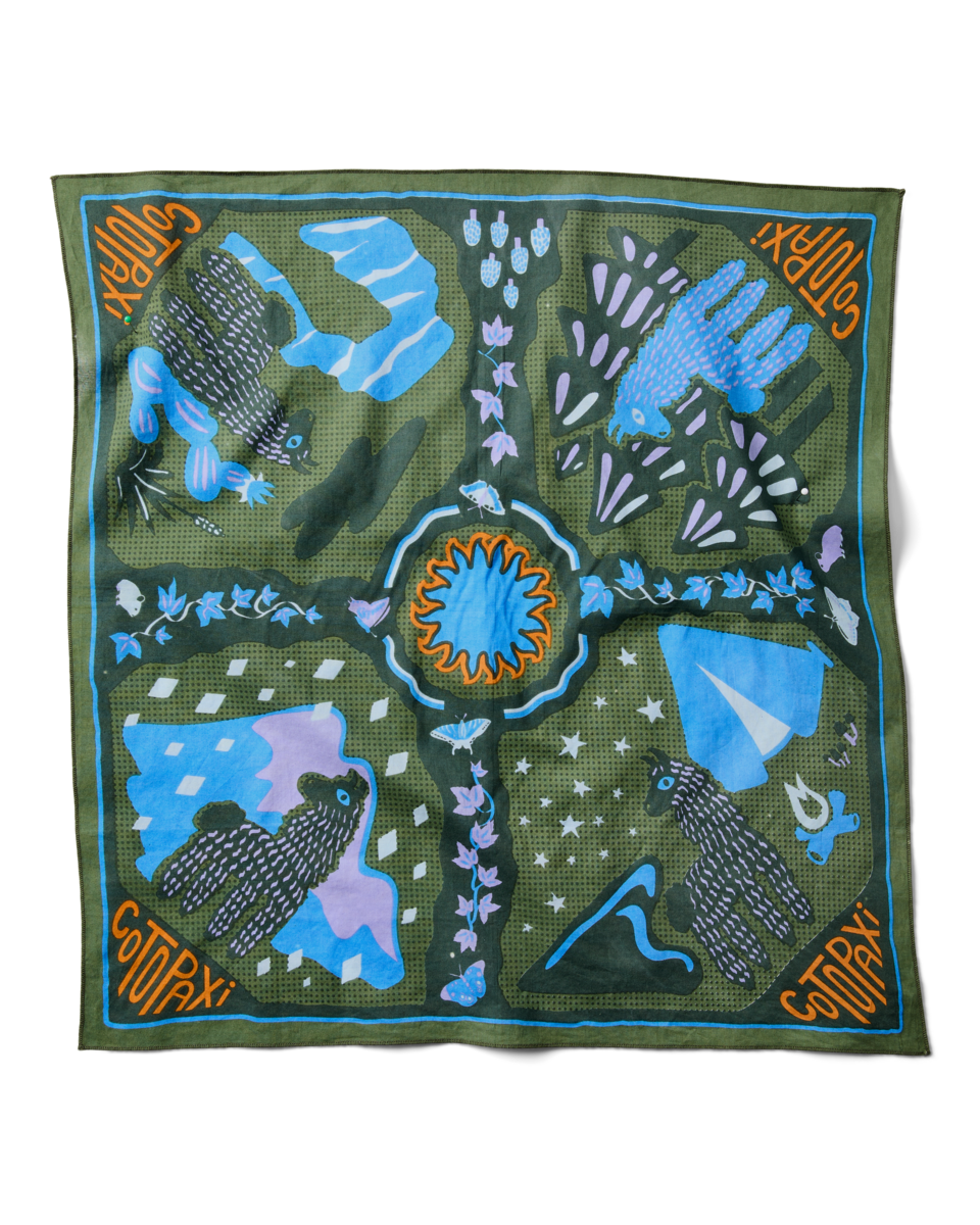 Organic Cotton Bandana - Llama Camp Bandana - US 2918
