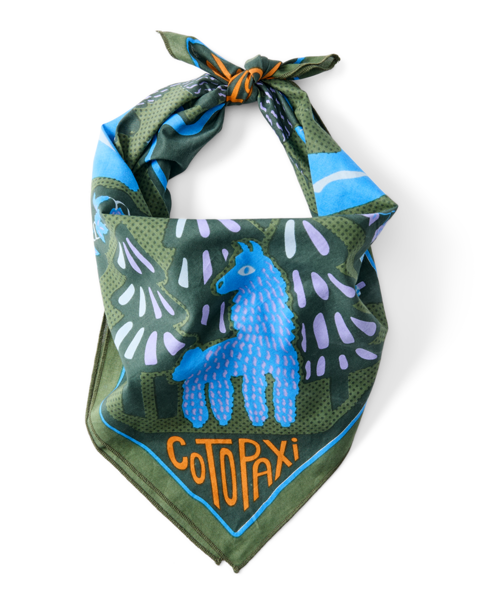 Organic Cotton Bandana - Llama Camp Bandana - US 2918